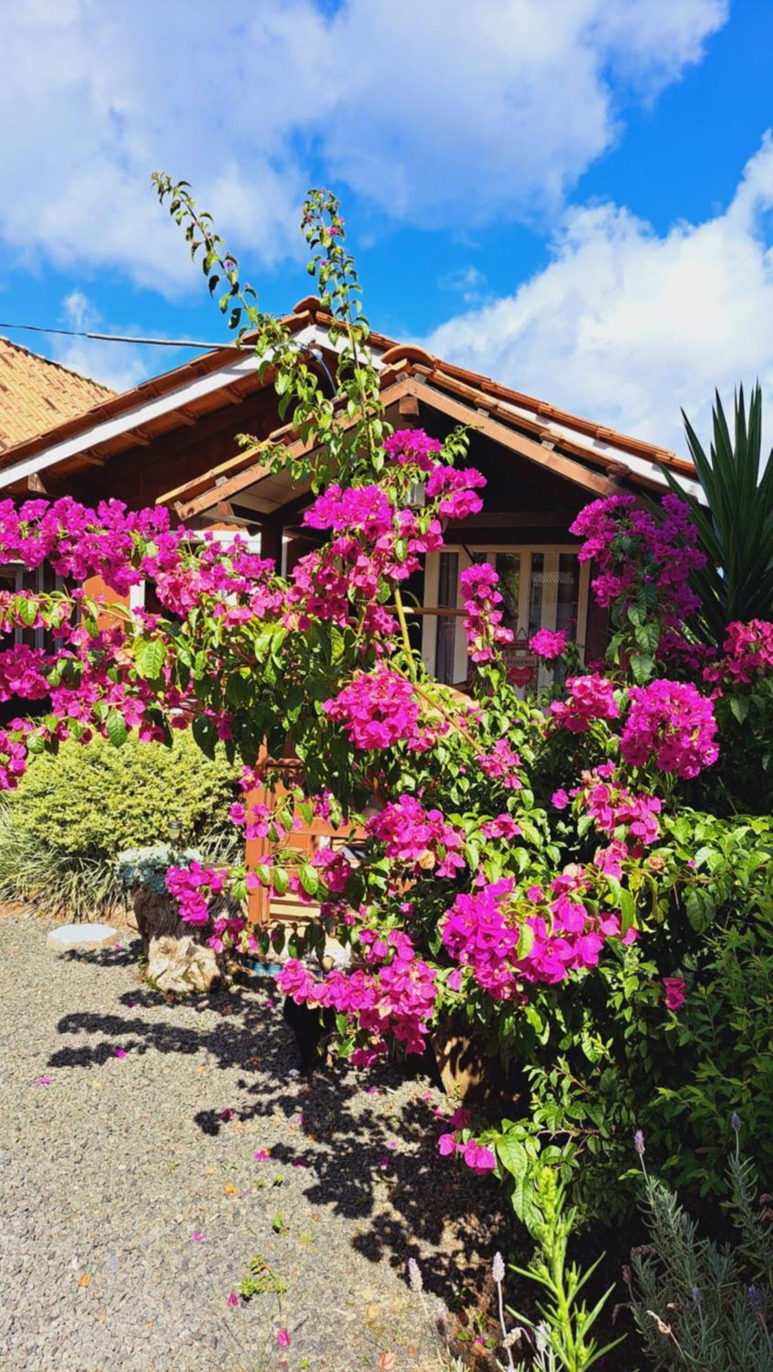 Chales Doce Luar Casas De Temporada Urubici Room photo